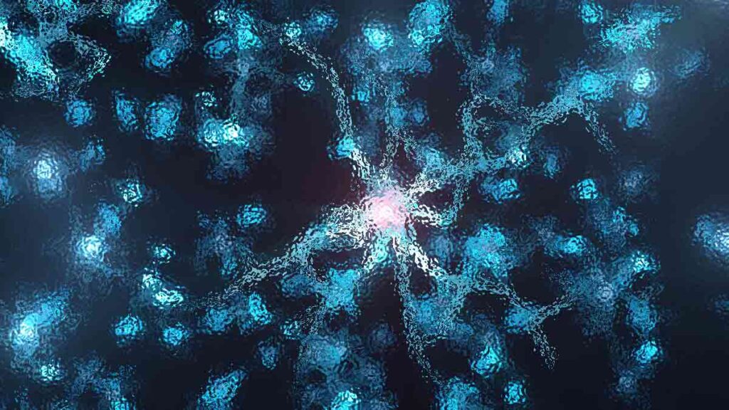 Brain Basics: The Life and Death of a Neuron