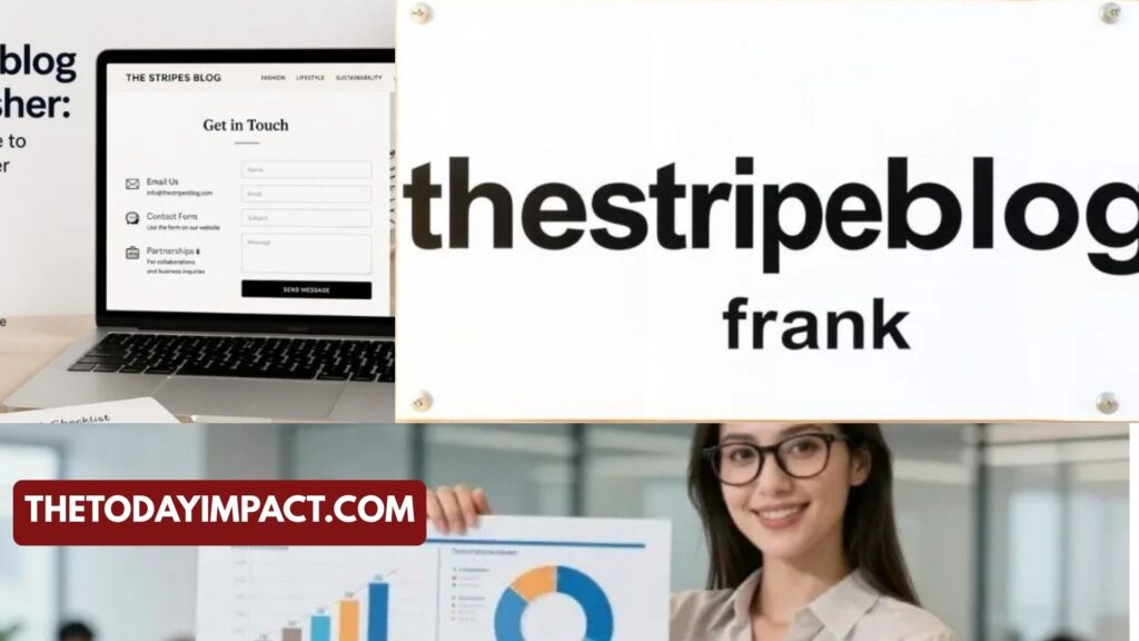 TheStripesBlog Contact Frank: Complete Guide to Reach Him Easily