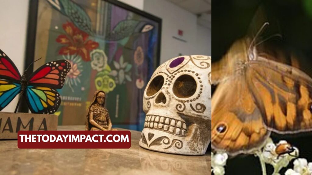 Who is butrflyskullmama? Meaning, Identity & Online Truth